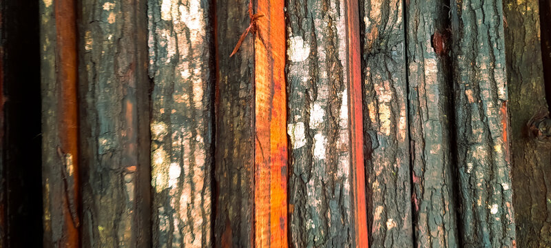 Close-up of a pile of wood with bark and split logs in bright natural colors.
This image can be used for wallpaper, backgrounds, designs, and more.