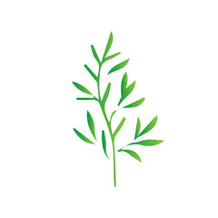 Obraz premium Green gradient leaves and tree elements