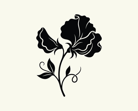 Elegant sweet pea flower silhouette illustration with delicate tendrils and leaves for botanical art design elements.