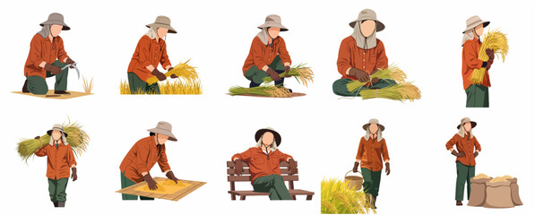 Fototapeta premium Set of rice farmer characters in various harvesting poses isolated on white background, agricultural worker harvesting paddy, flat vector illustration