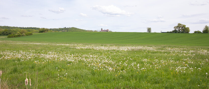 The landscape of romantic Franconia is characterized by gentle hills, ancient forests, river valleys, and a few castles.