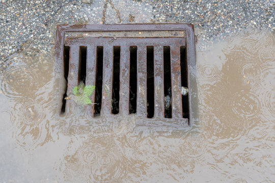 Storm Drain with Rainwater and Puddle During Heavy Rain,