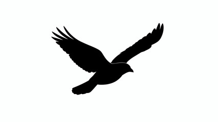 Fototapeta premium Black bird silhouette, flying bird icon, minimalist design, vector graphics isolated on White Background EPS