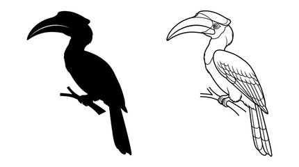 Hornbill Silhouette And Line Art On White Background © UmmeFaria