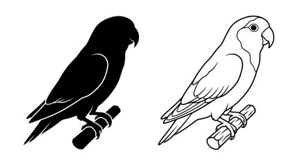 Parrot Silhouette And Outline Black And White Vector Illustration © UmmeFaria