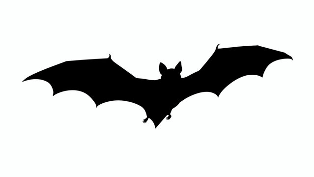 Black bat silhouette, flying mammal icon, Halloween symbol, dark creature emblem