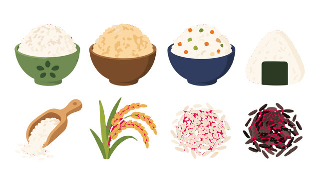 Rice bowls, grains, rice plant, and onigiri vector set
