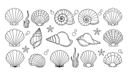 Seashell Collection Hand Drawn Marine Vector Illustration © Songkari
