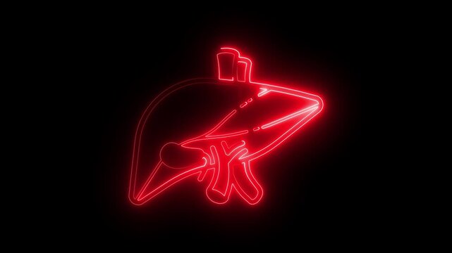 Glowing red neon human liver animation for medical science and healthcare presentations anatomy organ