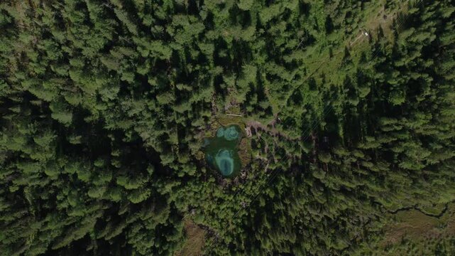 Top down drone footage of Geyser Lake with vivid turquoise geothermal pools surrounded by dense conifer forest in Altai Republic, Russia, scenic nature landmark