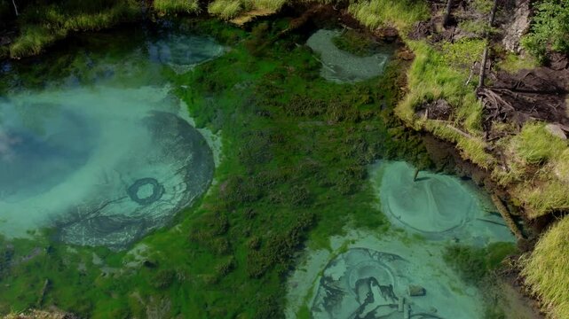 Top-down drone footage of Geyser Lake with turquoise mineral pools surrounded by dense taiga forest in Altai Republic, Russia, scenic natural landmark