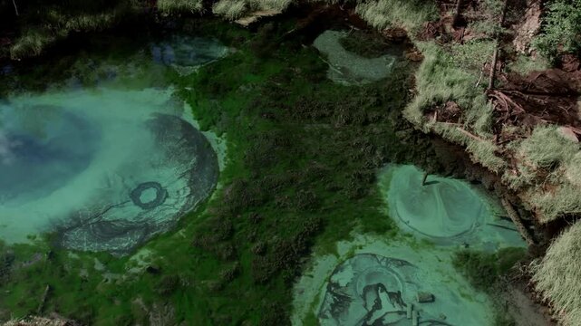 Drone footage of Geyser Lake with vivid turquoise mineral pools surrounded by dense taiga forest, a natural landmark in Altai Republic, Russia, top down view