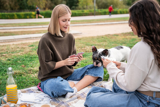 Friends playing card game on picnic with French bulldog