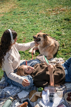 Friends relaxing at a sunny park picnic with a dog