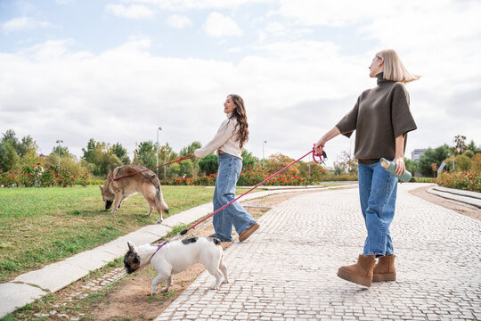 Two woman walking dogs on park path during autumn day