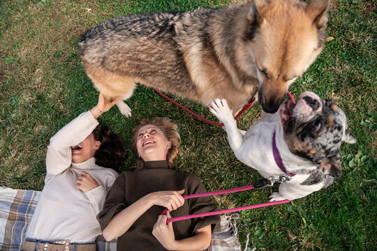 Two friend relax on grass with dog and leash outdoors