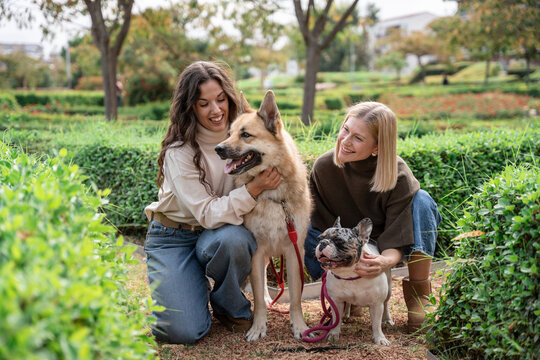 Two women petting dog and French Bulldog in a park
