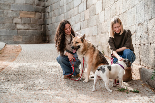 Two women walking dog in old stone alley outdoors