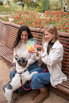 Two women play with dog on park bench with toy
