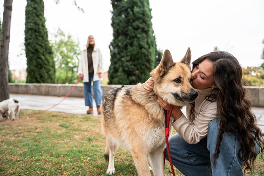 Woman kissing german shepherd on leash in park outdoors