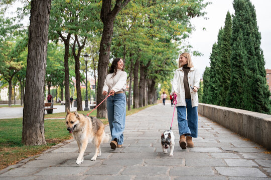 Women walking dog on tree lined park path in autumn
