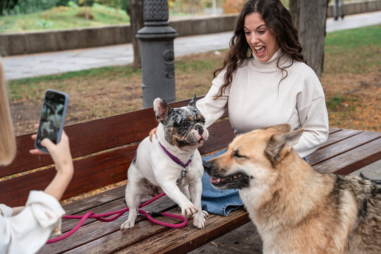 Woman laughing on park bench with dog and phone photo