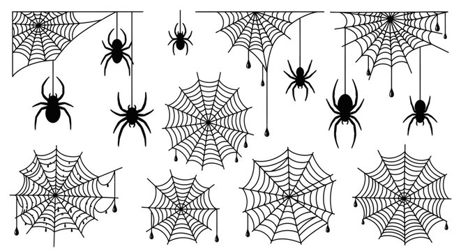 spiders and web patterns
