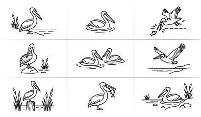 Fototapeta premium Minimal pelican bird line art vector set with water and coastal nature icons
