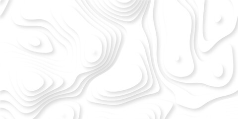 Vector lines seamless pattern sea map topography design. White wave paper curved reliefs Contour maps. Discovery topographic texture backdrop landscape earth style trail map geography design.  © Alibuss