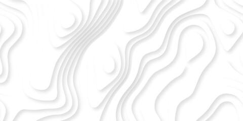 Vector lines seamless pattern sea map topography design. White wave paper curved reliefs Contour maps. Discovery topographic texture backdrop landscape earth style trail map geography design.  © Alibuss