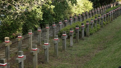 Długie, równe rzędy kamiennych krzyży wojskowych przewiązanych biało-czerwonymi wstążkami, ustawione na trawiastym zboczu zabytkowego cmentarza wojennego w otoczeniu bujnej zieleni drzew © tomo81