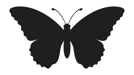 Black Butterfly Silhouette Against A White Background Detailed Wing Shape Silhouette © Sakilcreative 
