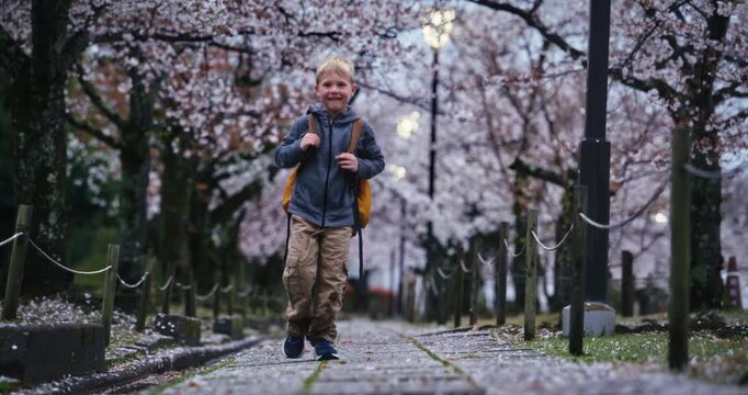 Smiling boy walking stone path with surrounding cherry blossom trees - slow motion shot