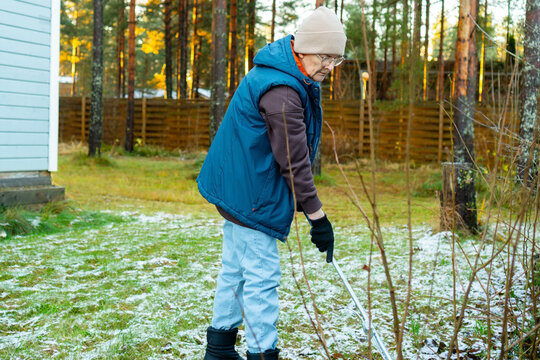 Determined elderly homeowner sweeping and clearing leaves from yard on frosty autumn morning. Purposeful senior woman maintains property as first frost covers grass. Active retiree handles yard work