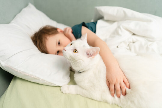 Child stroking white cat on bed showing affection and tenderness between kid and feline companion. Boy petting cat with warm caring touch sharing loving bond in comfortable bedroom interior