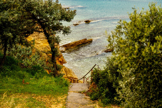 Coastal path to rocky sea cove framed by pine tree