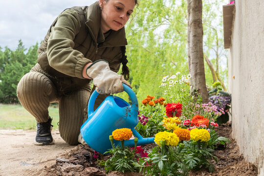 Woman watering spring flowers in garden with blue can