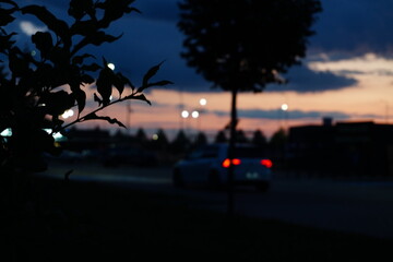 Blurred city street at dusk with car taillights bokeh background and dark leaves silhouette in the foreground © Bogdan