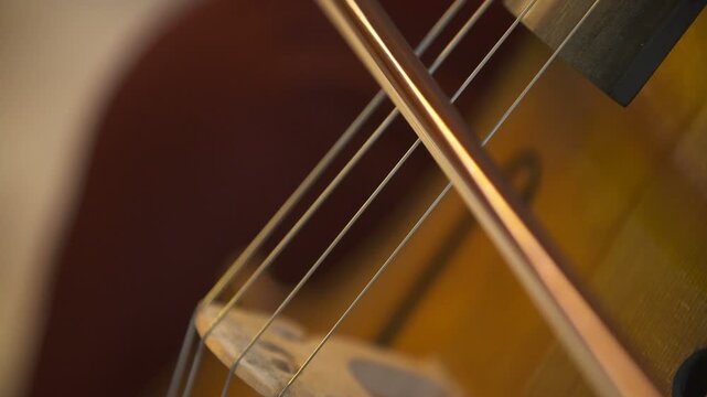 Close-up of guitar strings and metallic body detail