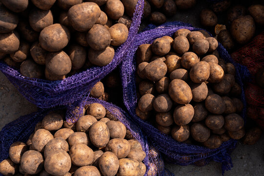 Piled potatoes in purple mesh sacks at a local market