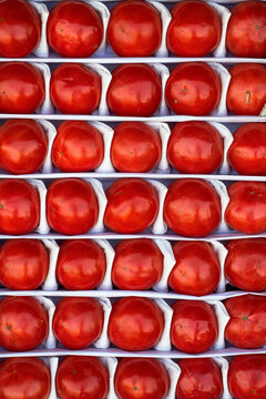 Fresh Uzbek tomatoes packed in crate for market sale