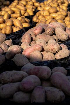 Fresh potatoes at an open air market in Uzbekistan