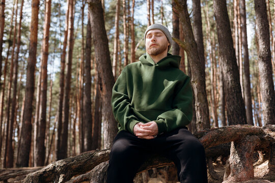 Man meditating on fallen tree in quiet pine forest