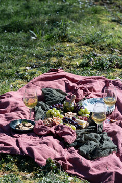 Outdoor picnic blanket with wine, grapes and snacks