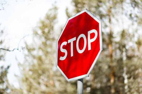 Stop sign in a park during early springtime