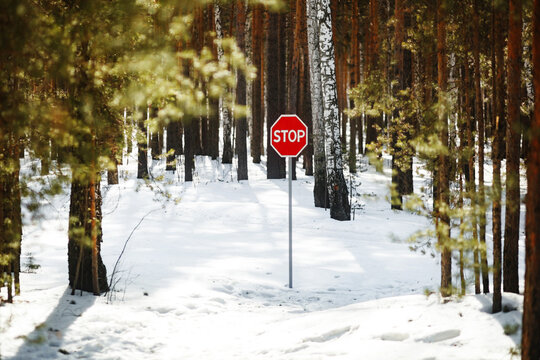 Stop sign amidst snowy spring forest
