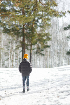 Little boy walking in snowy spring park landscape