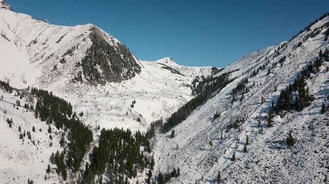 Aerial footage of snow covered mountain slopes and conifer forest in a wide valley near Peak Galina, Arshan, Republic of Buryatia, Russia on a clear winter day