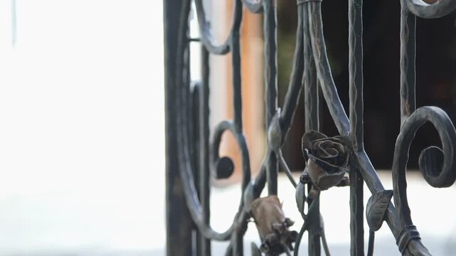 Ornate wrought iron fence beside the ocean