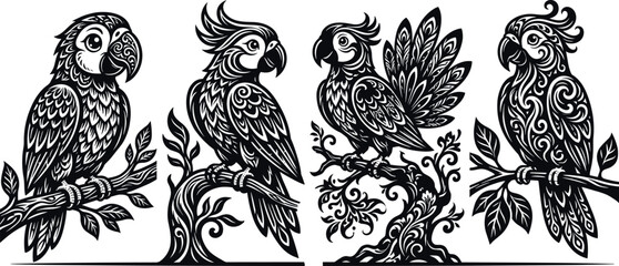 Four parrots on branches, black and white birds ornate © Sojib Patuary